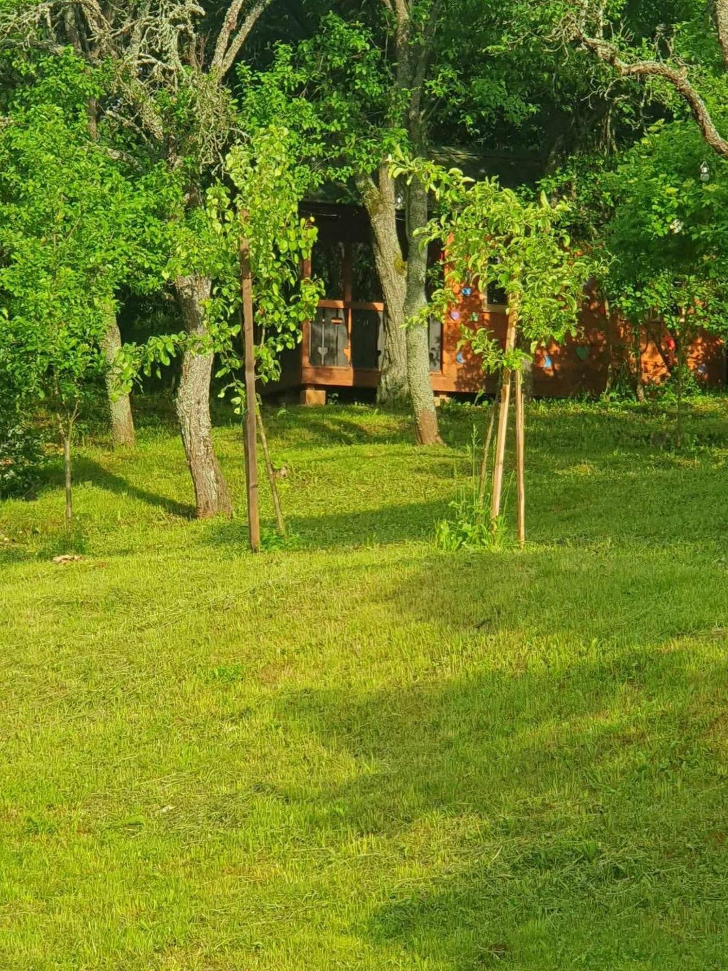 Apartments Sarika Dlhá Ves المظهر الخارجي الصورة